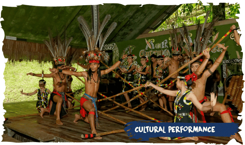 Cultural Dance Performance